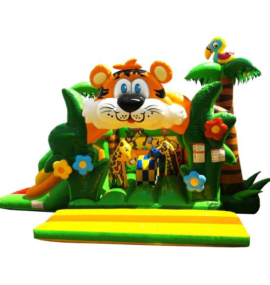 location-chateau-gonflable-boggan-tigrou01