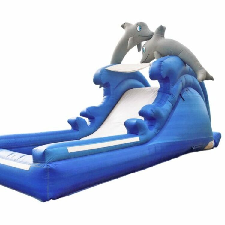 location structure gonflable dauphin