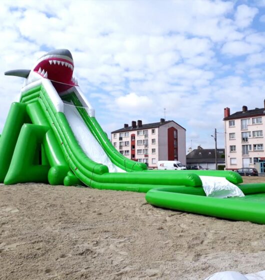 location gonflable requin