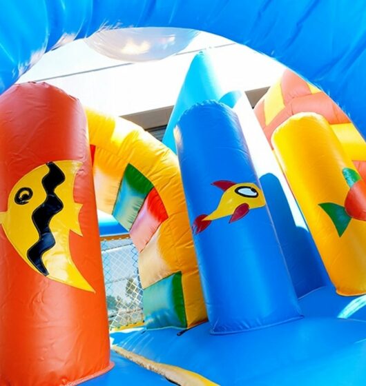 chateau gonflable à louer vacances mer océan dauphin paris france été enfants